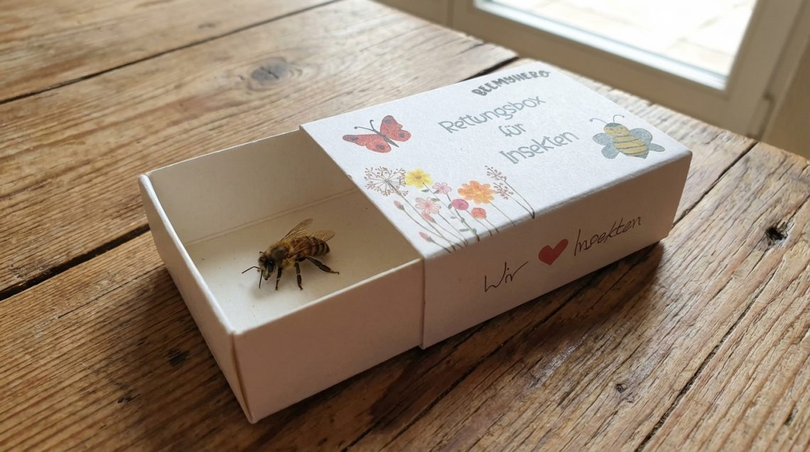 Bild Insektenbox Insekten retten Beemyhero